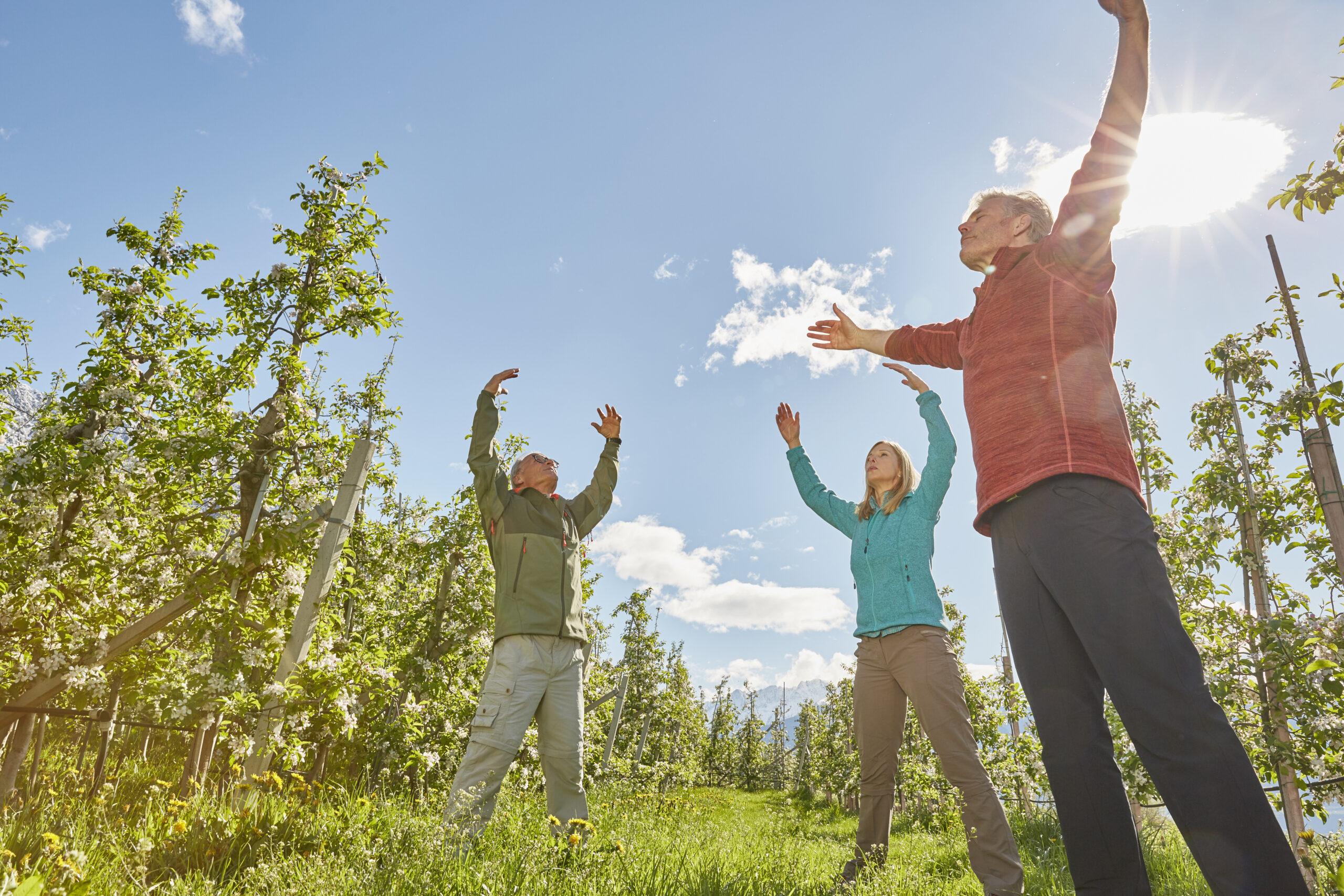 Three mature adults in field, meditating, low angle view, Meran, South Tyrol, Italy