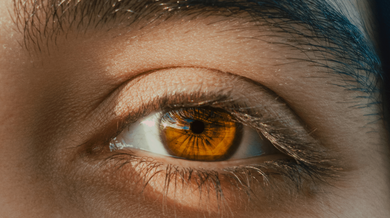 Clear Vision